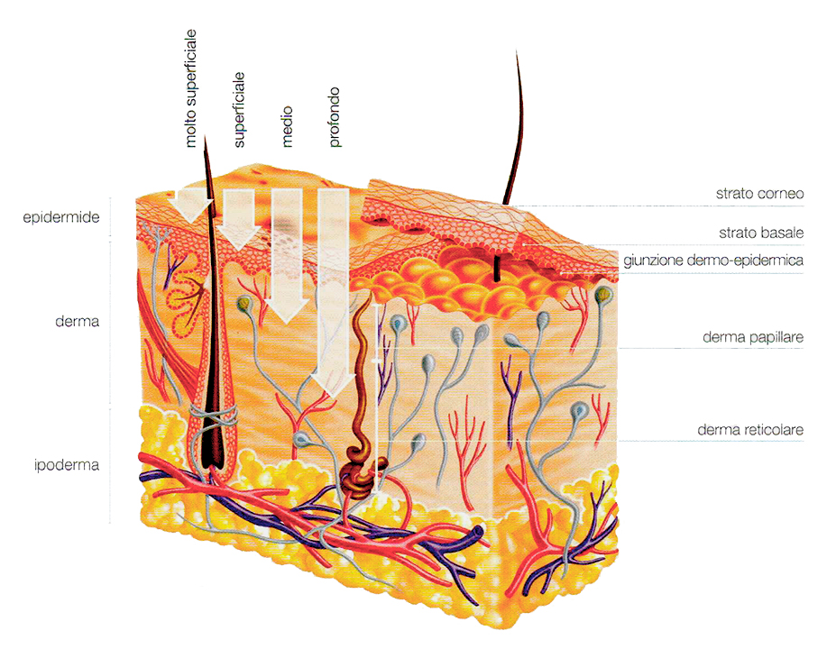 epidermide_peeling_clinica_pulvirenti_catanima_giarre